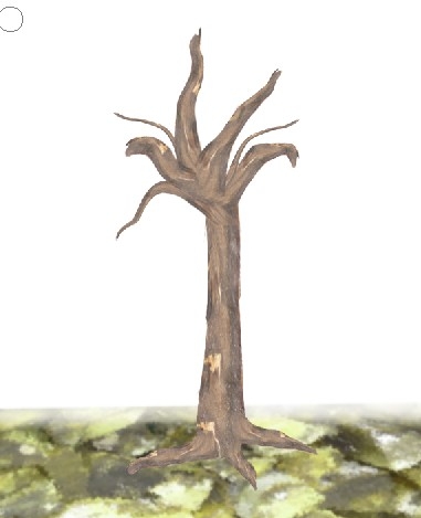 Creation of Tree: Step 5